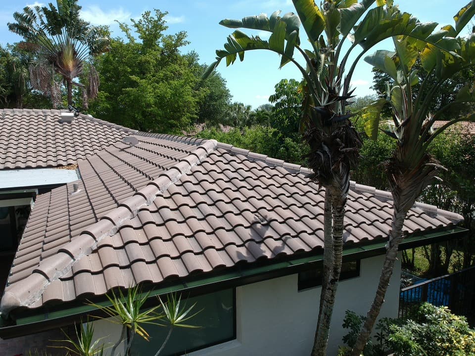 Brown barrel tile roof of a house surrounded by lush tropical palms and greenery.